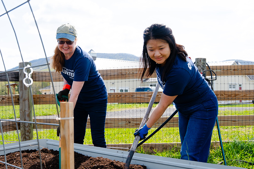 DCCU employees digging in garden for volunteer shift