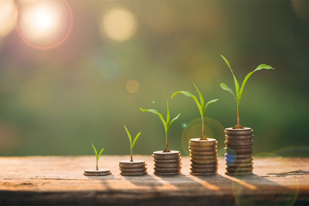 Five stacks of coins are growing green sprouts. The sprouts grow larger as the stacks of coins do. 