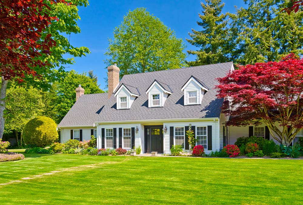 cape cod home surrounded by green lawn and trees