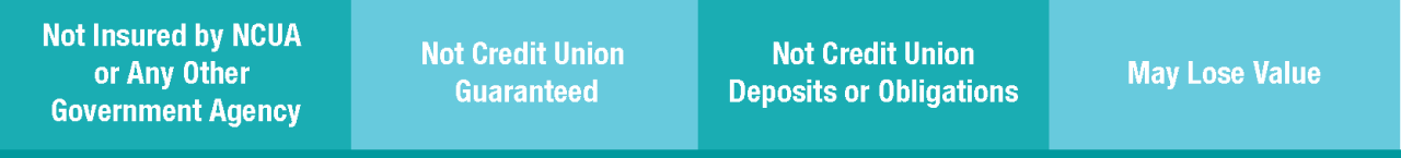 Not Insured by NCUA or Any Other Government Agency | Not Credit Union Guaranteed | Not Credit Union Deposits or Obligations | May Lose Value